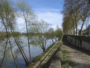 Left (south) bank of the Loire River