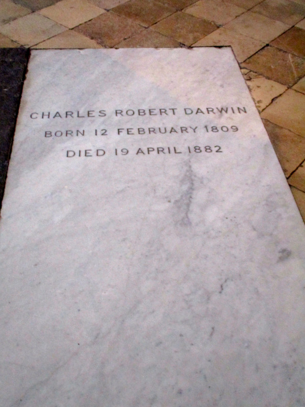Darwin's grave