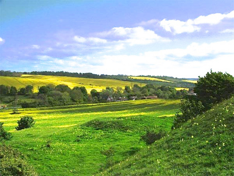 Rolling hills of Kent County