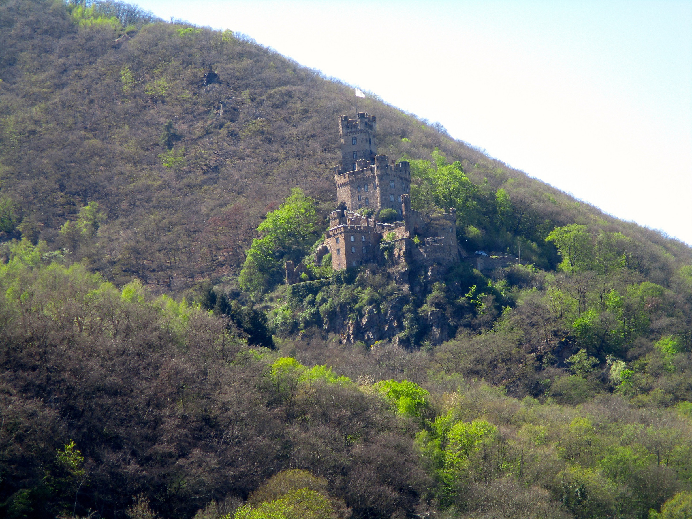 Castle on the Rhine | Photo