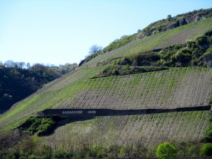 Steeply sloped vineyards