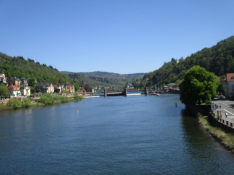 Neckar River 