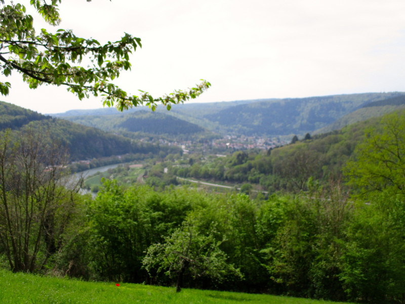 Neckar River valley