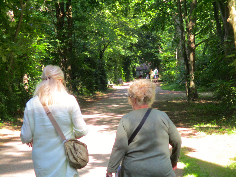 Path in the Hirschgarten