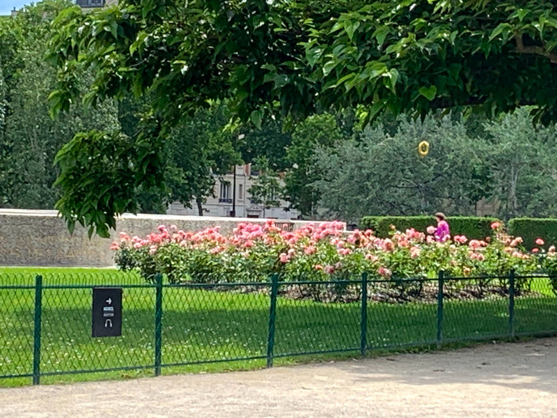 Gardens behind Notre Dame