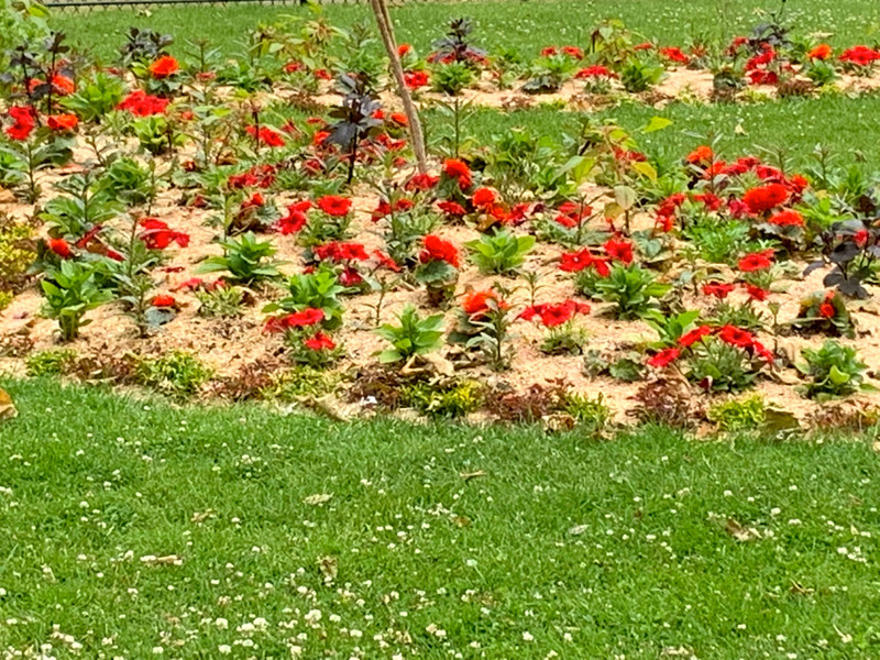 Flower garden, Champ de Mars