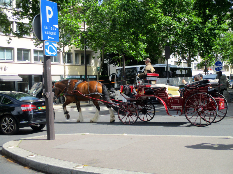 Horse and buggy in Paris?