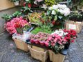 Flower shop on Via Cesario