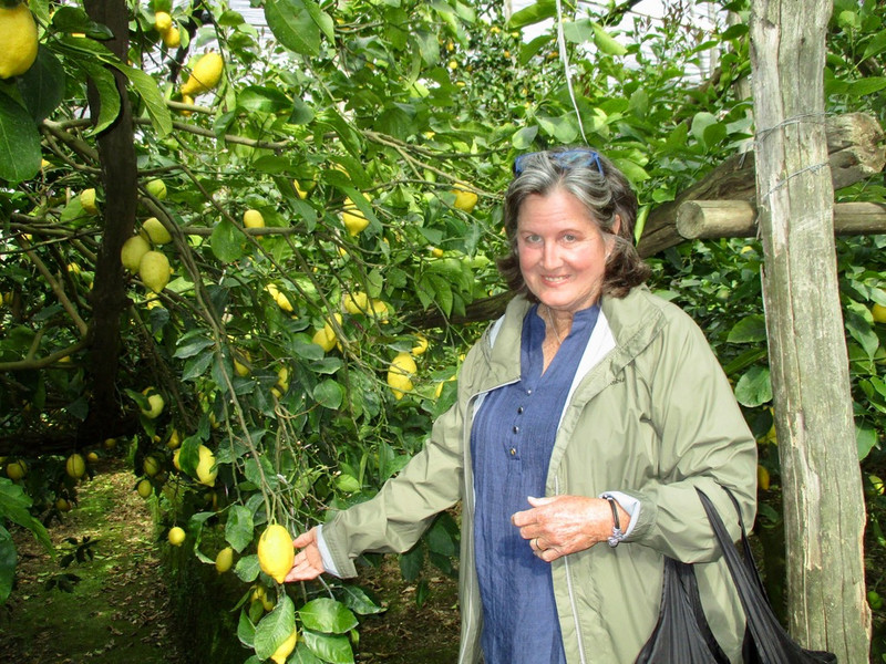 Cindy in the lemon orchard