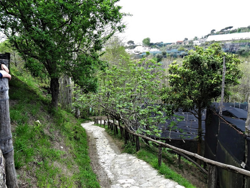 Sloping trail to the orchards