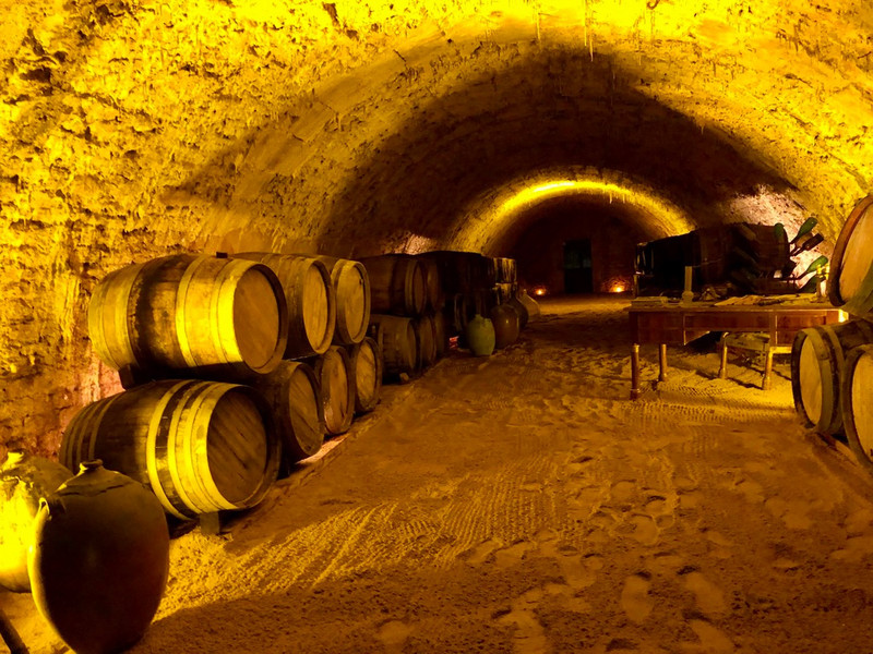 Wine cellar of the château