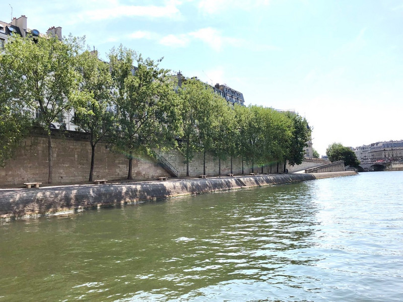 Shady embankment (quay) along the Seine