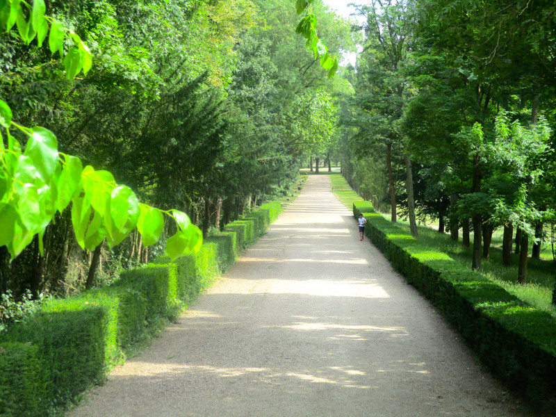 Pathway near the Grand Canal