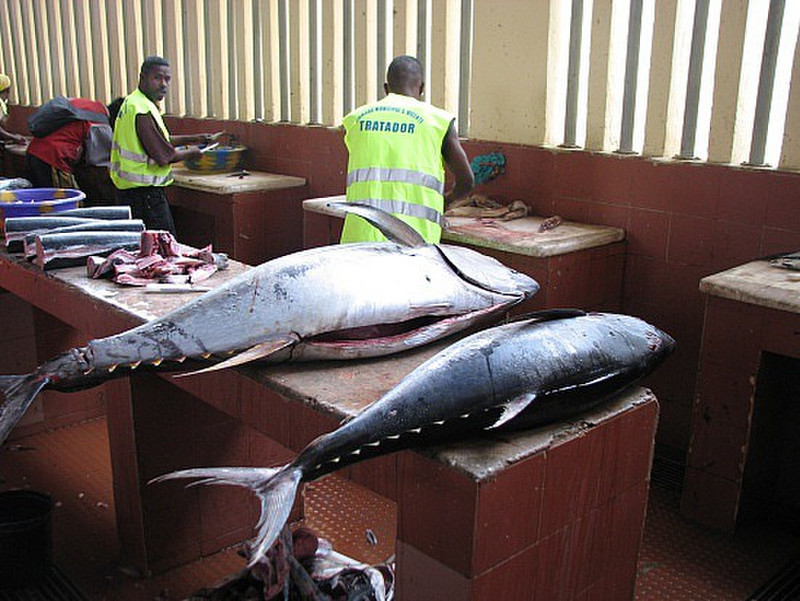 Mindelo Fish Market