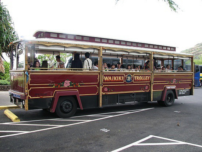 Waikiki Trolley Bus