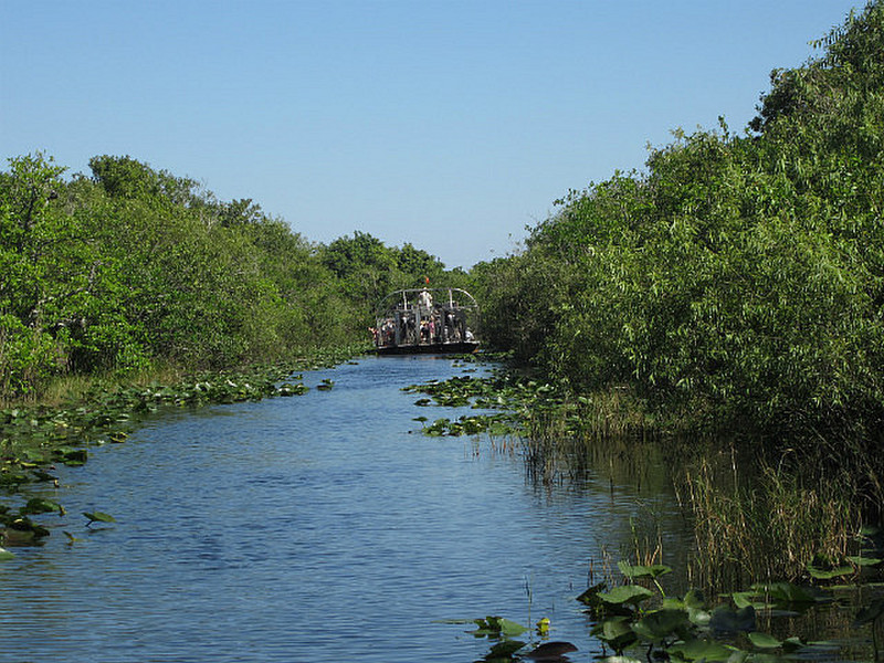 The Florida Everglades 