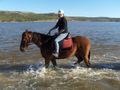 Big River Ranch Horse riding