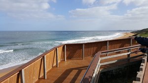 Logan Beach Whale Watching Platform