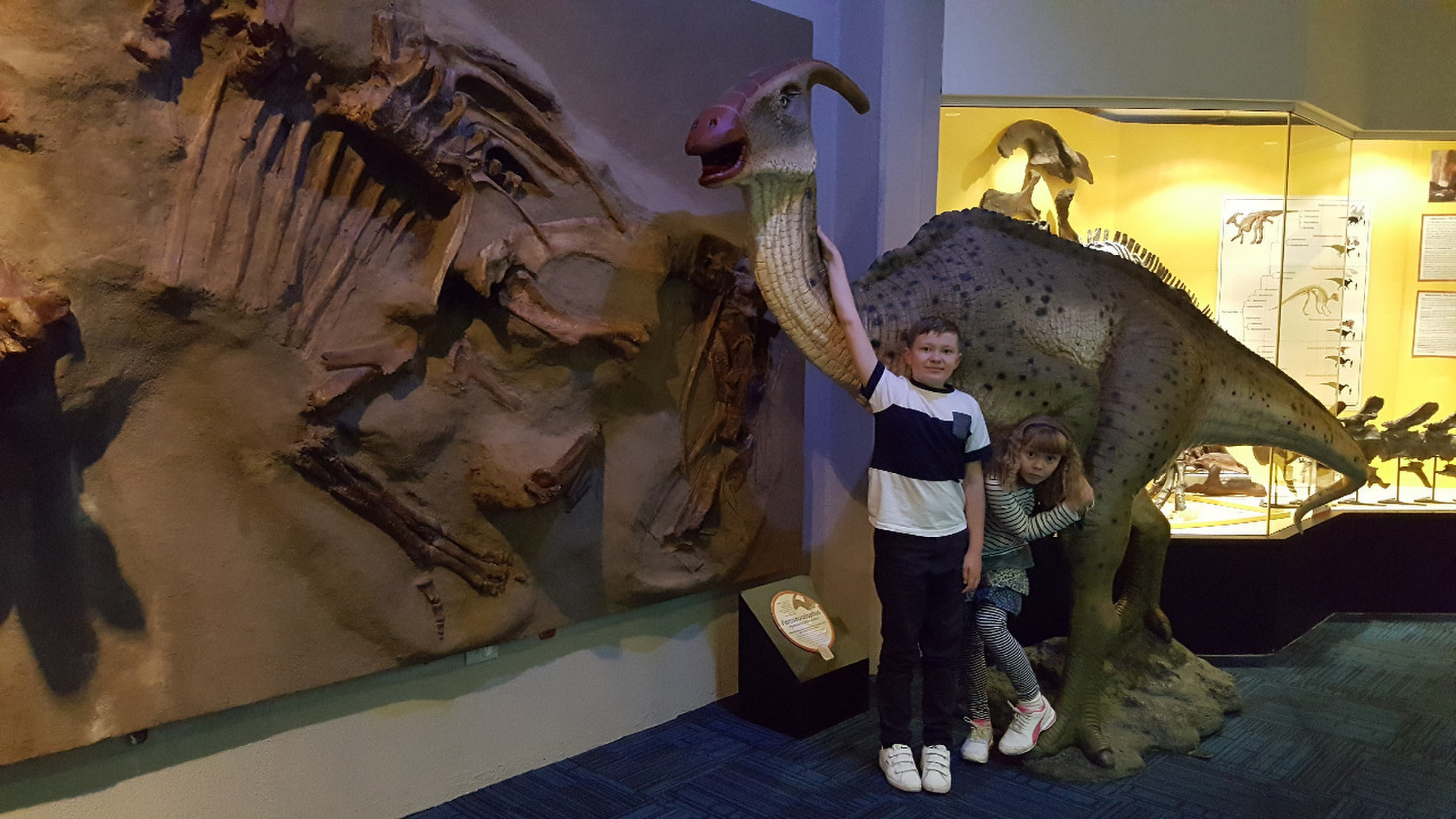 ou dinosaur museum