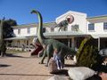 National Dinosaur Museum 