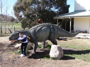 national dinosaur museum tickets
