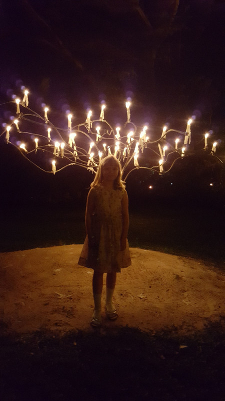 Sophie at the Flames of the Forest