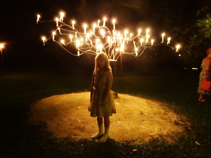 Sophie at the Flames of the Forest