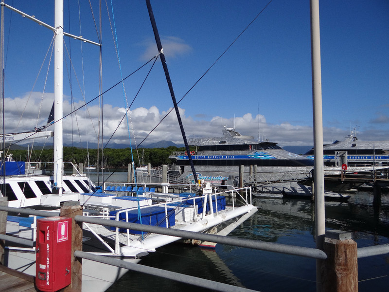 Our catamaran Quicksilver 5