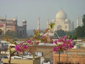 Rooftop view of the Taj Mahal