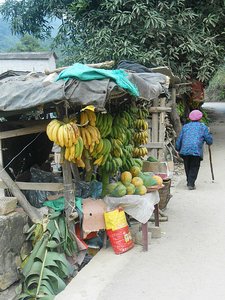 Stalls selling fruit