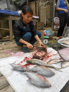 Fishmonger on roadside