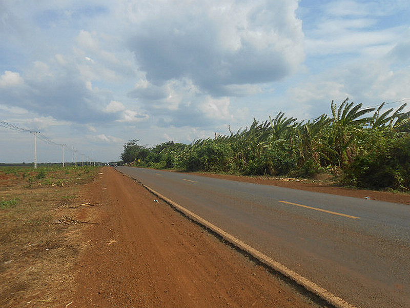Empty roads