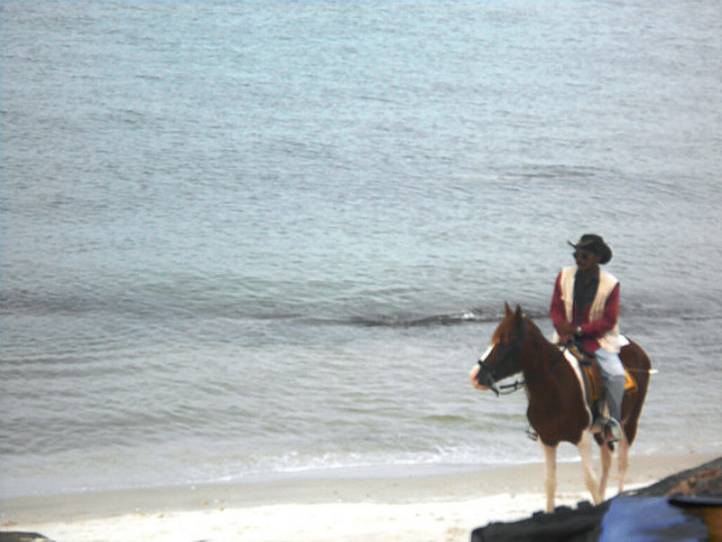 Local on his horse on the beach
