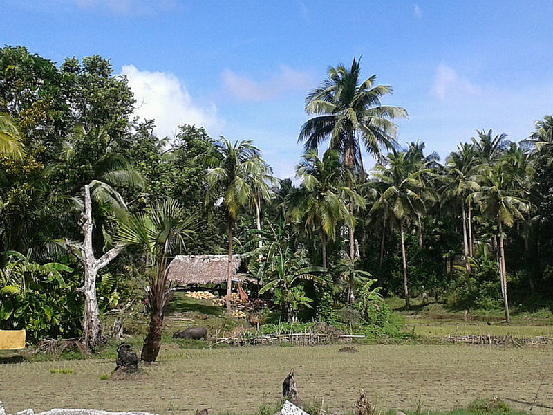 Local village