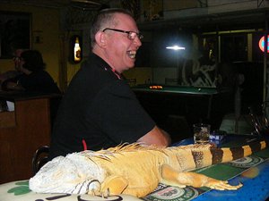 Bringing your lizard to the pub?