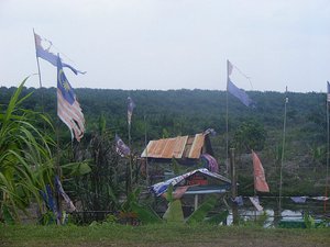 Local huts