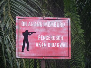 Signs at the palm oil plantations