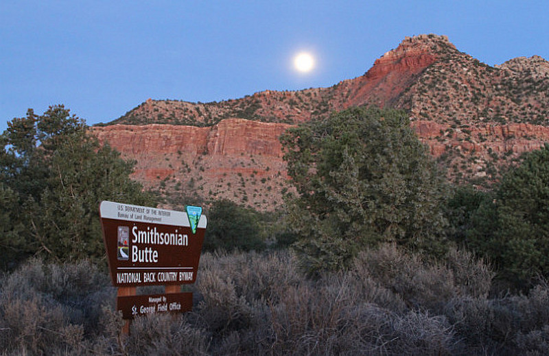 Moon Over Smithsonian Butte National Scenic Byway