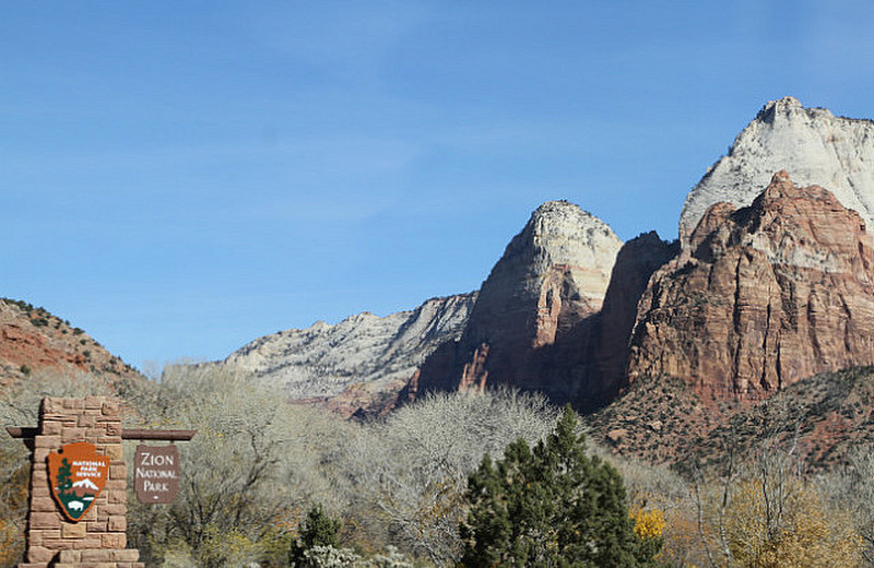 Colorful Zion from Watchman