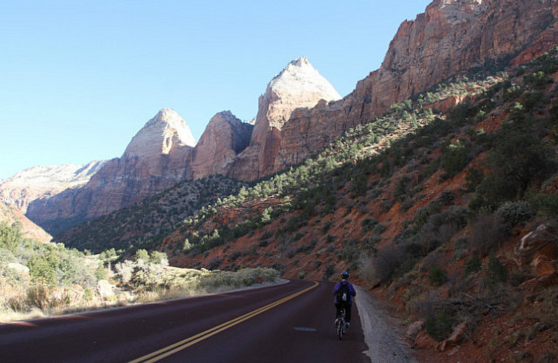 Road Up Zion Canyon