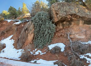 Zion via Smithsonian Butte Back Country Byway