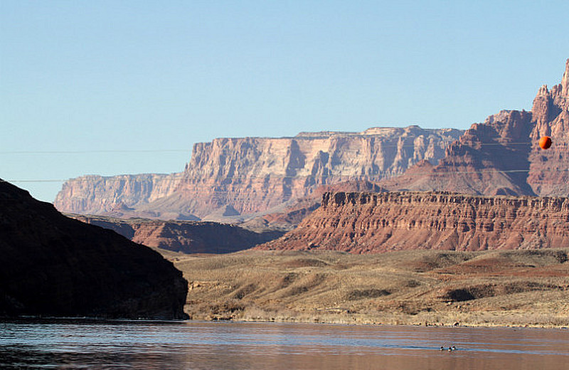 Paddling Away Upstream from the Grand Canyon
