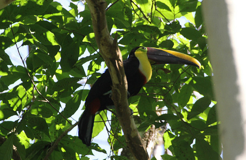 Day Hike in a private reserve Manuel Antonio