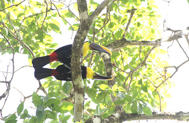 Day Hike in a private reserve Manuel Antonio