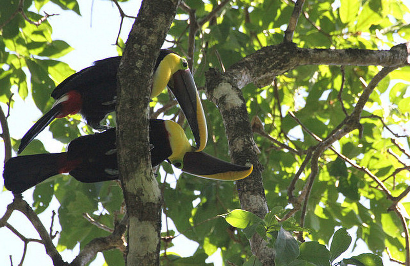 Day Hike in a private reserve Manuel Antonio