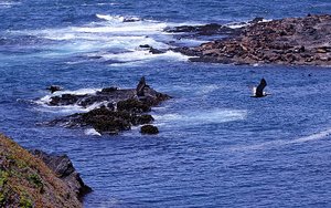 Hiking out to Point Cabrillo Light Station