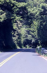 Highway 1 Mendocino to Bodega Bay 