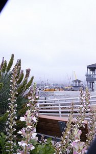Coast Guard Pier, Monterey