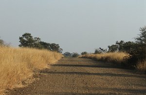 Driving from Satara Camp to Letaba