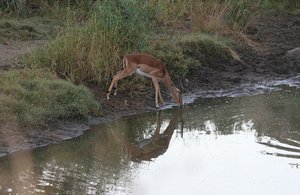 Lower Sabie